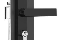 Asim-hinged-door-projection-lock.png