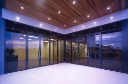 Swan Evo 45mm Commercial Shopfront Door