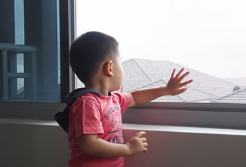 KidScreen Window Fall Prevention